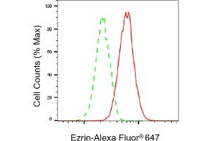 Flow cytometric analysis of Ezrin expression in HAP-1 cells using Ezrin antibody (ABIN7798552), 1:2,000).