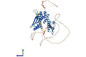AlphaFold protein structure predicition of Mouse Recombinant Nelfa Protein, UniprotID Q8BG30