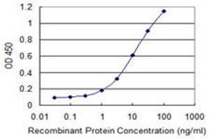 Detection limit for recombinant GST tagged NOS1AP is 0. (NOS1AP antibody  (AA 99-202))
