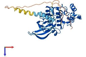 CDKL1 Protein (AA 1-352) (His tag)