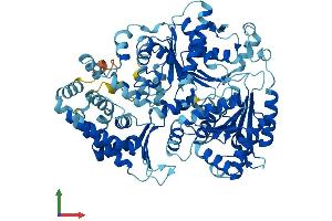 Protein Structure (PS) image for Excision Repair Cross-Complementing Rodent Repair Deficiency, Complementation Group 2 (ERCC2) (AA 1-760) protein (His tag) (ABIN7562210)