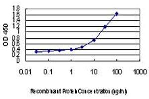 Detection limit for recombinant GST tagged C10orf7 is approximately 0.