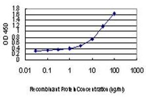 Detection limit for recombinant GST tagged C10orf7 is approximately 0. (CDC123 antibody  (AA 1-336))