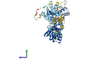 AlphaFold protein structure predicition of Human Recombinant RHOBTB3 Protein, UniprotID O94955 (RHOBTB3 Protein (AA 1-611) (His tag))