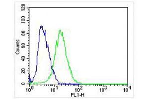 Overlay histogram showing SH-SY5Y cells stained with (ABIN6242228 and ABIN6578319) (green line). (NGFR antibody  (C-Term))