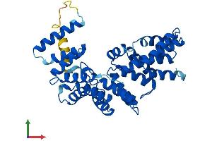 AlphaFold protein structure predicition of Human Recombinant LRP2BP Protein, UniprotID Q9P2M1