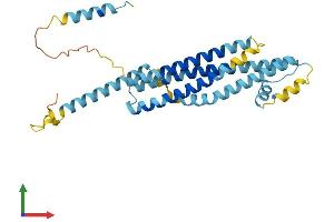 Protein Structure (PS) image for Syntaxin 19 (STX19) (AA 1-294) protein (His tag) (ABIN7544026)