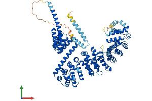 Protein Structure (PS) image for Tetratricopeptide Repeat Domain 12 (TTC12) (AA 1-705) protein (His tag) (ABIN7544757)