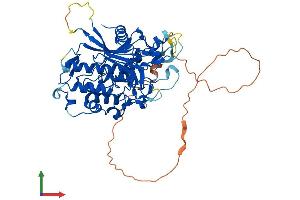 AlphaFold protein structure predicition of Human Recombinant ADAT1 Protein, UniprotID Q9BUB4
