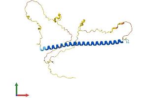 Protein Structure (PS) image for FOS-Like Antigen 1 (FOSL1) (AA 1-271) protein (His tag) (ABIN7547730)