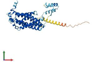 AlphaFold protein structure predicition of Mouse Recombinant Cers3 Protein, UniprotID Q1A3B0 (LASS3 Protein (AA 1-383) (His tag))