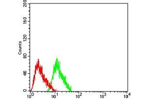 Flow cytometric analysis of SH-SY5Y cells using CHRNA7 mouse mAb (green) and negative control (red). (CHRNA7 antibody  (AA 52-259))