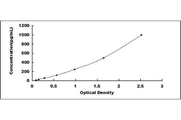 FGF23 ELISA Kit