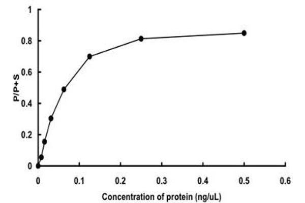 NTRK3 Protein (AA 456-825) (GST tag)