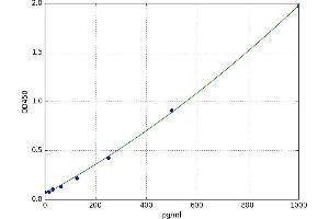 Urocortin (UCN) ELISA Kit