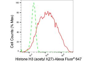 Flow cytometric analysis of Histone H3 (acetyl K27) expression in HeLa cells using Histone H3 (acetyl K27) antibody (ABIN7798971), 1:2,000).