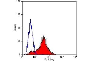 Staining of human peripheral blood lymphocytes with MOUSE ANTI HUMAN CD305(ABIN119871). (LAIR1 antibody)