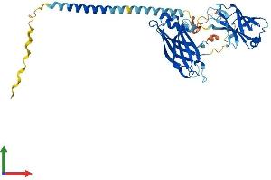 AlphaFold protein structure predicition of Mouse Recombinant Syt5 Protein, UniprotID Q9R0N5 (Synaptotagmin V Protein (SYT5) (AA 1-386) (His tag))
