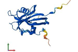 AlphaFold protein structure predicition of Mouse Recombinant Nudt15 Protein, UniprotID Q8BG93
