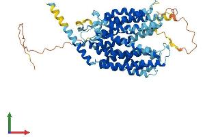 AlphaFold protein structure predicition of Human Recombinant MFSD2A Protein, UniprotID Q8NA29