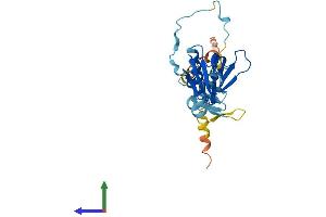 AlphaFold protein structure predicition of Mouse Recombinant Dapp1 Protein, UniprotID Q9QXT1