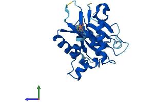 AlphaFold protein structure predicition of Human Recombinant EMC9 Protein, UniprotID Q9Y3B6 (EMC9 Protein (AA 1-208) (His tag))