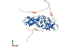 AlphaFold protein structure predicition of Human Recombinant MUTYH Protein, UniprotID Q9UIF7 (MUTYH Protein (AA 1-546) (His tag))