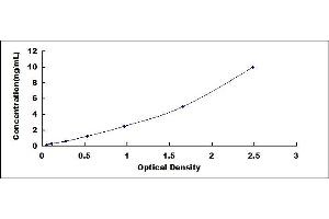 Typical standard curve (CCR2 ELISA Kit)