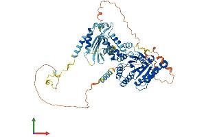 AlphaFold protein structure predicition of Mouse Recombinant Srpra Protein, UniprotID Q9DBG7 (SRPRA (AA 1-636) protein (His tag))