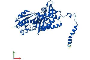 AlphaFold protein structure predicition of Human Recombinant ASS1 Protein, UniprotID P00966 (ASS1 Protein (AA 1-412) (His tag))