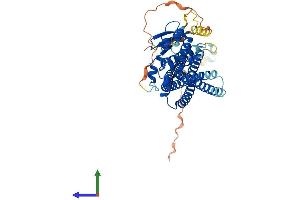 AlphaFold protein structure predicition of Human Recombinant SNX8 Protein, UniprotID Q9Y5X2 (SNX8 Protein (AA 1-465) (His tag))