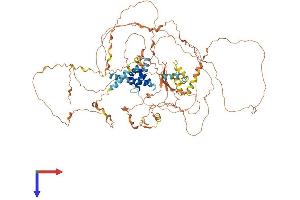 AlphaFold protein structure predicition of Human Recombinant NUTM2B Protein, UniprotID A6NNL0 (NUTM2B Protein (AA 1-878) (His tag))