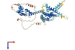 AlphaFold protein structure predicition of Human Recombinant KCNV2 Protein, UniprotID Q8TDN2 (KCNV2 Protein (AA 1-545) (His tag))