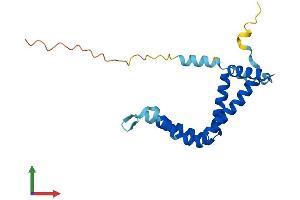 AlphaFold protein structure predicition of Mouse Recombinant Rabac1 Protein, UniprotID Q9Z0S9