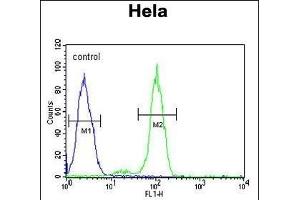 Flow Cytometry (FACS) image for anti-Protein Tyrosine Phosphatase-Like (Proline Instead of Catalytic Arginine), Member B (PTPLB) (AA 226-254), (C-Term) antibody (ABIN651166)