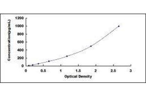 ELISA image for Angiopoietin 2 (ANGPT2) ELISA Kit (ABIN415586)
