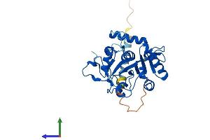 AlphaFold protein structure predicition of Mouse Recombinant St6galnac3 Protein, UniprotID Q9WUV2 (alpha-N-Acetylgalactosaminide alpha-2,6-Sialyltransferase 3 (SIA7C) (AA 1-305) protein (His tag))
