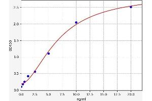 Sirtuin 2 (SIRT2) ELISA Kit