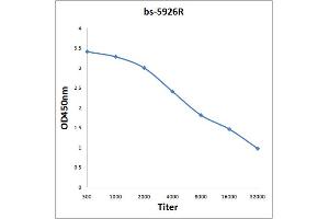 Antigen: 0. (MAS1L antibody  (AA 201-300))