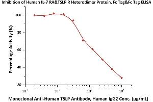 Serial dilutions of Monoclonal A TSLP Antibody, Human IgG2 were added into Human IL-7 RA&TSLP R Heterodimer Protein, Fc Tag&Fc Tag (ABIN6973131): Biotinylated Human TSLP, His,Avitag (ABIN5954931,ABIN6253633) binding reactions.