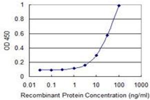 Detection limit for recombinant GST tagged TAGLN is 1 ng/ml as a capture antibody. (Transgelin antibody  (AA 1-201))
