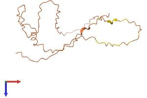 AlphaFold protein structure predicition of Human Recombinant FAM218A Protein, UniprotID Q96MZ4 (FAM218A Protein (AA 1-157) (His tag))