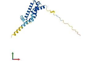 AlphaFold protein structure predicition of Mouse Recombinant Arl2bp Protein, UniprotID Q9D385