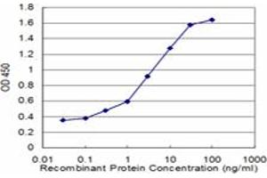 Detection limit for recombinant GST tagged DBN1 is approximately 0. (DBN1 antibody  (AA 1-649))