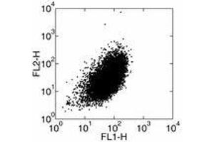 Image no. 1 for anti-Interleukin 1 alpha (IL1A) antibody (FITC) (ABIN473783) (IL1A antibody  (FITC))