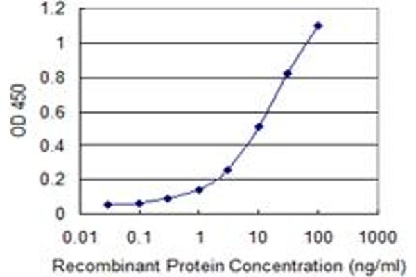 HIST1H2AC antibody  (AA 25-96)