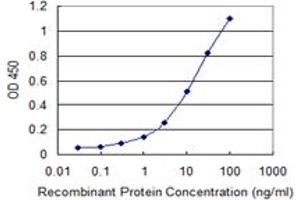Detection limit for recombinant GST tagged HIST1H2AC is 0. (HIST1H2AC antibody  (AA 25-96))