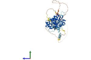 AlphaFold protein structure predicition of Human Recombinant EDC3 Protein, UniprotID Q96F86