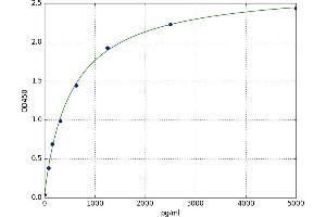 Low Density Lipoprotein Receptor-Related Protein 5 (LRP5) ELISA Kit