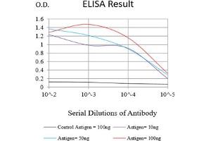 Black line: Control Antigen (100 ng),Purple line: Antigen (10 ng), Blue line: Antigen (50 ng), Red line:Antigen (100 ng) (FGL1 antibody  (AA 23-312))